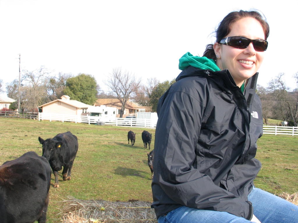 PLT’s AmeriCorps intern Katy Sater makes her acquaintance with some of Placer County’s bovine residents.