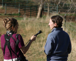 Capital Public Radio and National Public Radio help publicize the urgency of the Bruin Ranch project.