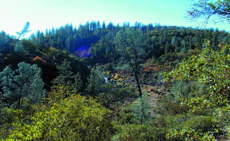 Preservation of the Shutamul Bear River Preserve will protect oak woodlands, water quality, and one of the few remaining “wild” areas in Placer County’s foothills.