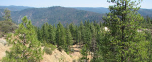 Big Gun Preserve is located on the Foresthill Divide near Michigan Bluff, and contains habitat for a number of Sierra Nevada foothill species.