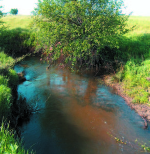 creek at hofman