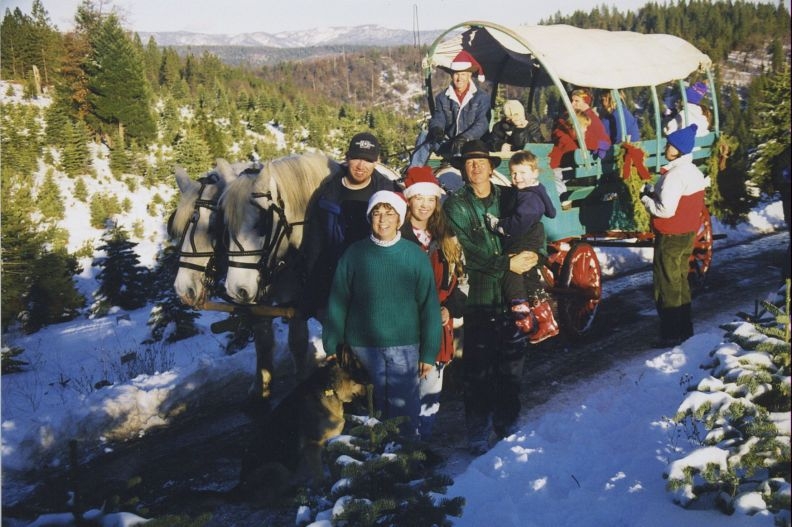 snowy peaks wagon ride