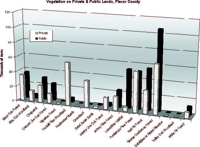 veg chart