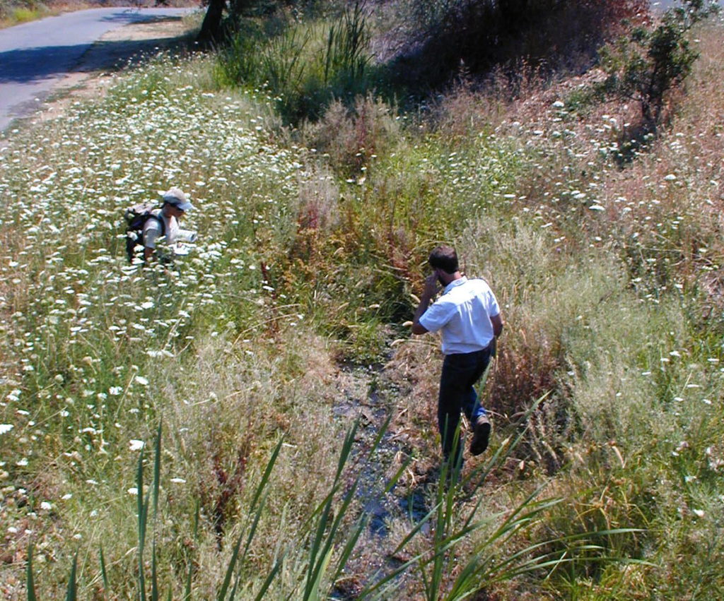 PLT advisor & restoration ecologist Mehrey vaghti & local arborist Tom Dougherty volunteered their time & services  to compile a biological assessment at Canyon Creek on PLT's Stagecoach Preserve in Auburn. these two volunteers will be instrumental in creating & implementing a restoration plan for this neighborhood stream.