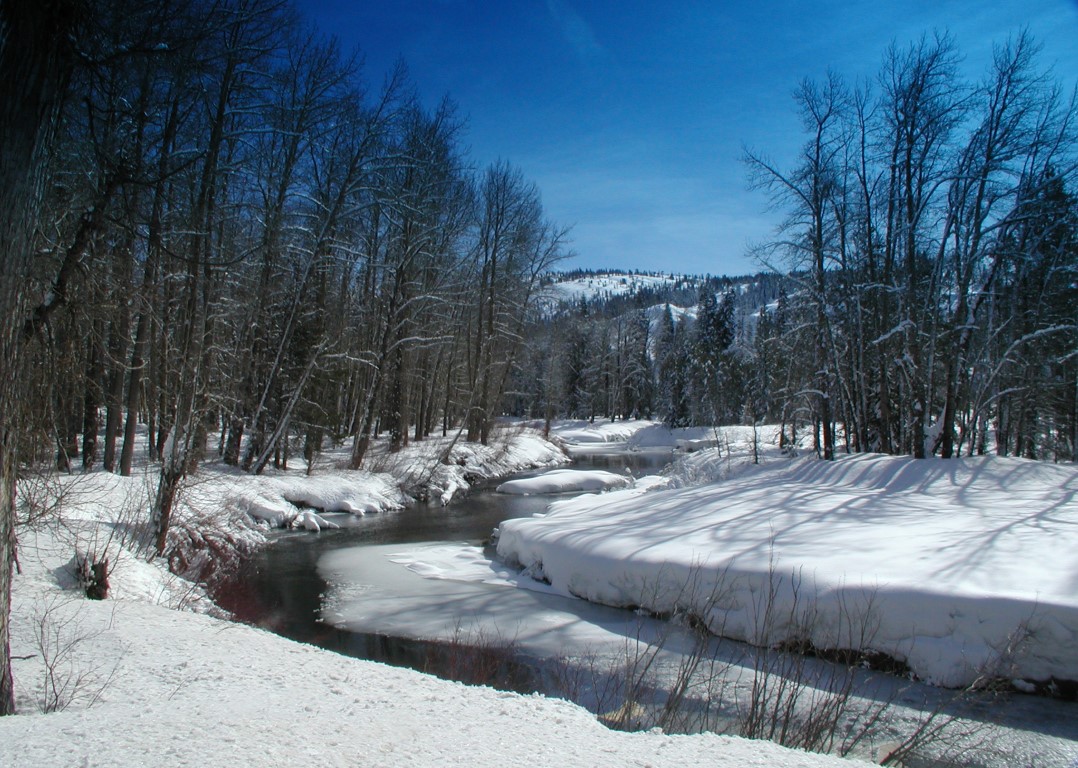 Placer Land Trust 