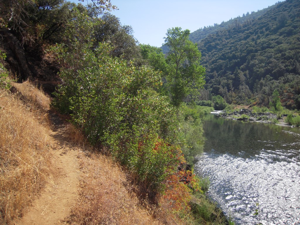 Codfish Falls Trail Preserve – Placer Land Trust