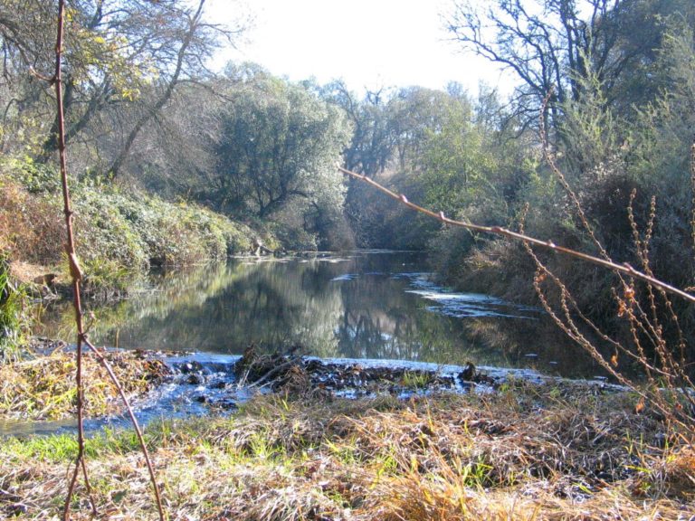 Miners Ravine Preserve – Placer Land Trust