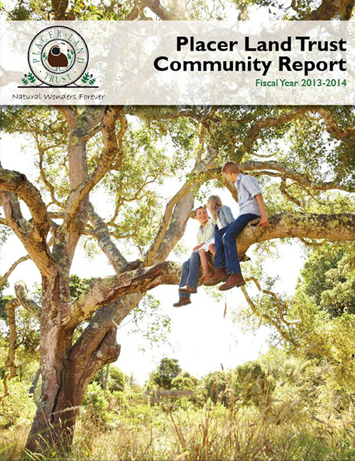 annual-report-2013-2014-cover