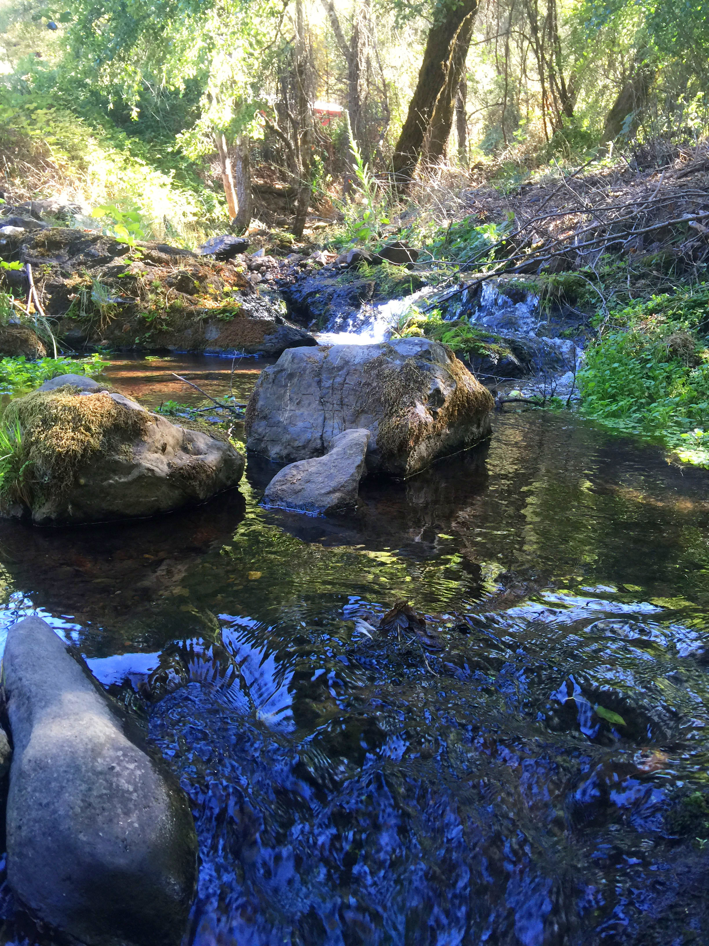 Pinecroft-Spillway-1