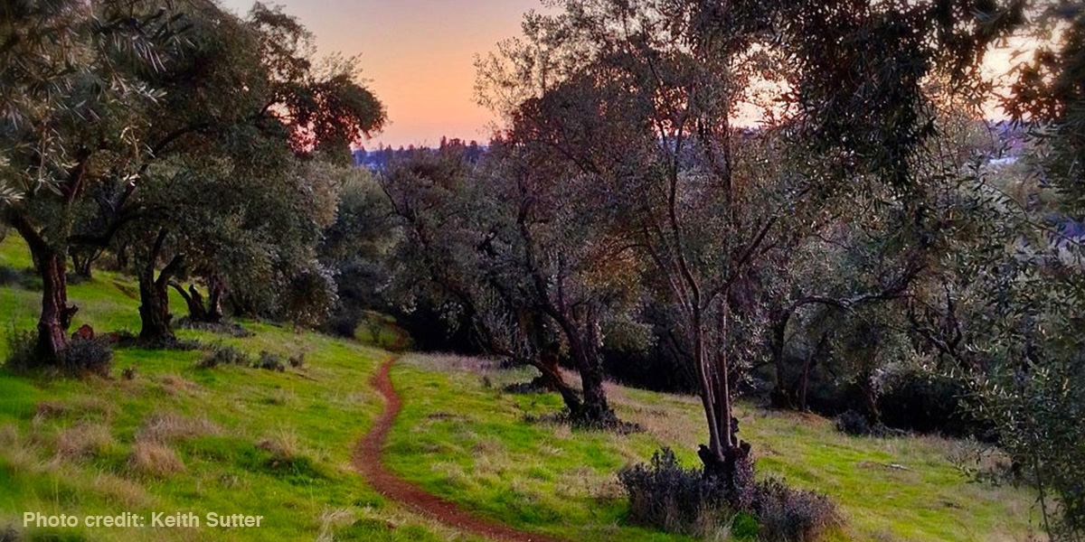 aeolia preserve keith sutter