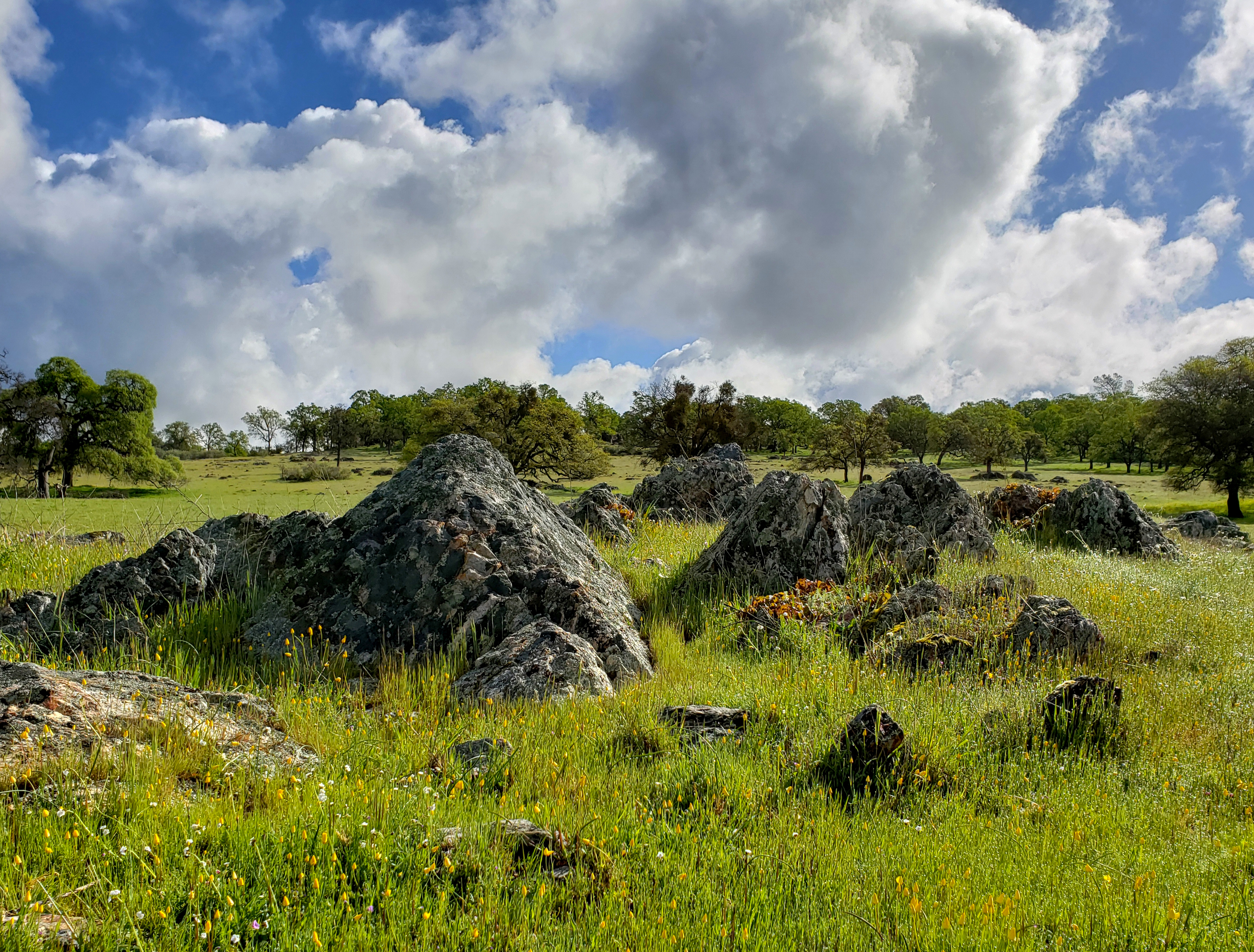 oest-lone-star-rocks