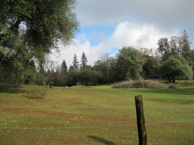 old-airport-horse-grazing-field