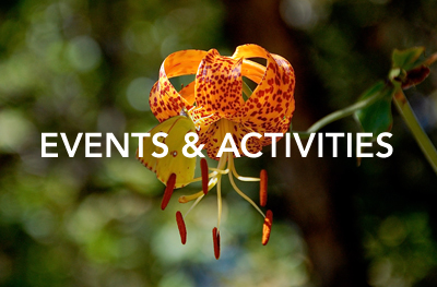Events and Activities