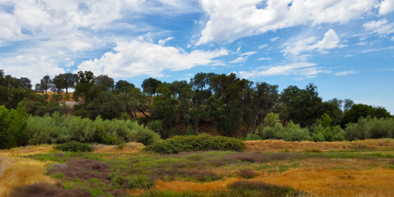 Miners Ravine Preserve – Placer Land Trust