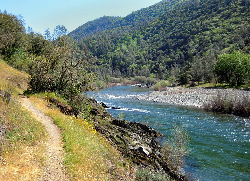 Codfish Falls trail