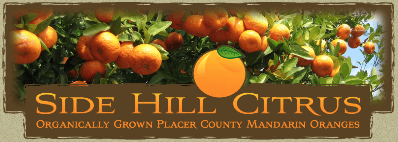 Side Hill Citrus