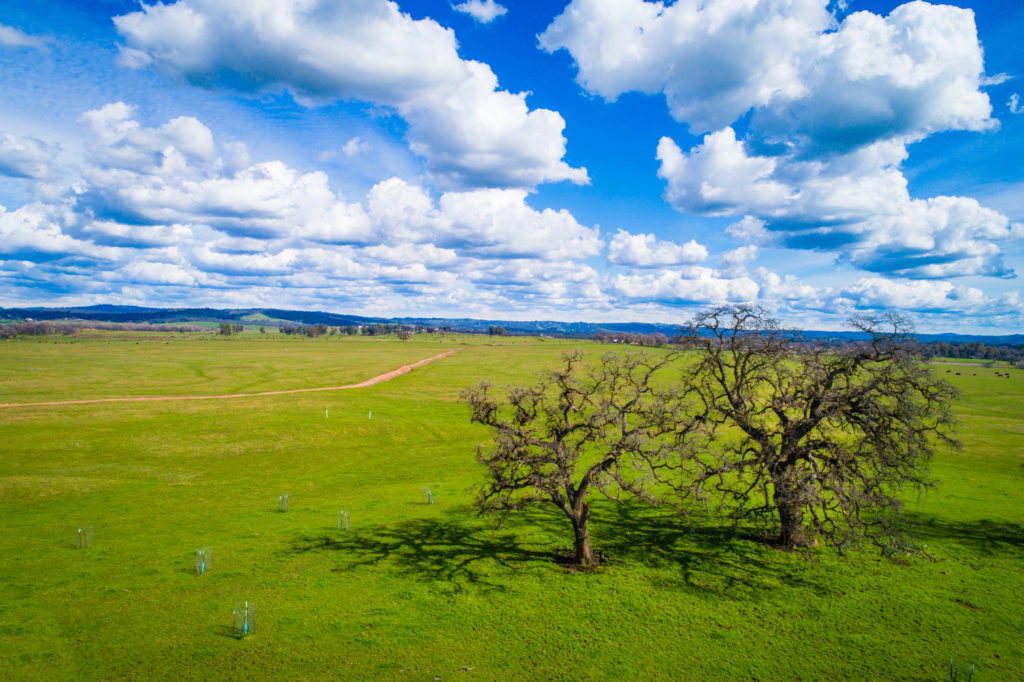 The Doty Ravine property near Lincoln is owned by Placer Land Trust, with a conservation easement owned by Placer Legacy. Photograph courtesy Placer Legacy.