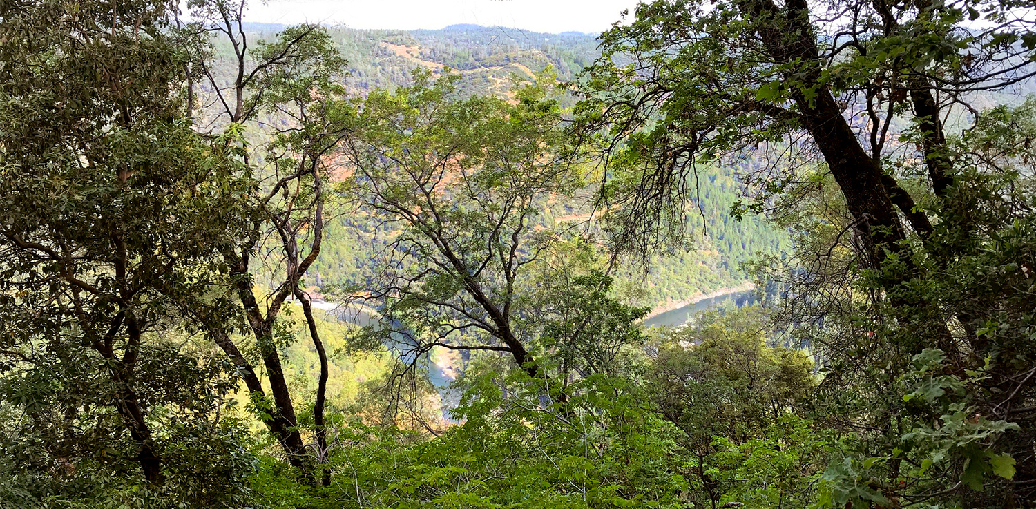 spring-garden-river-view_2