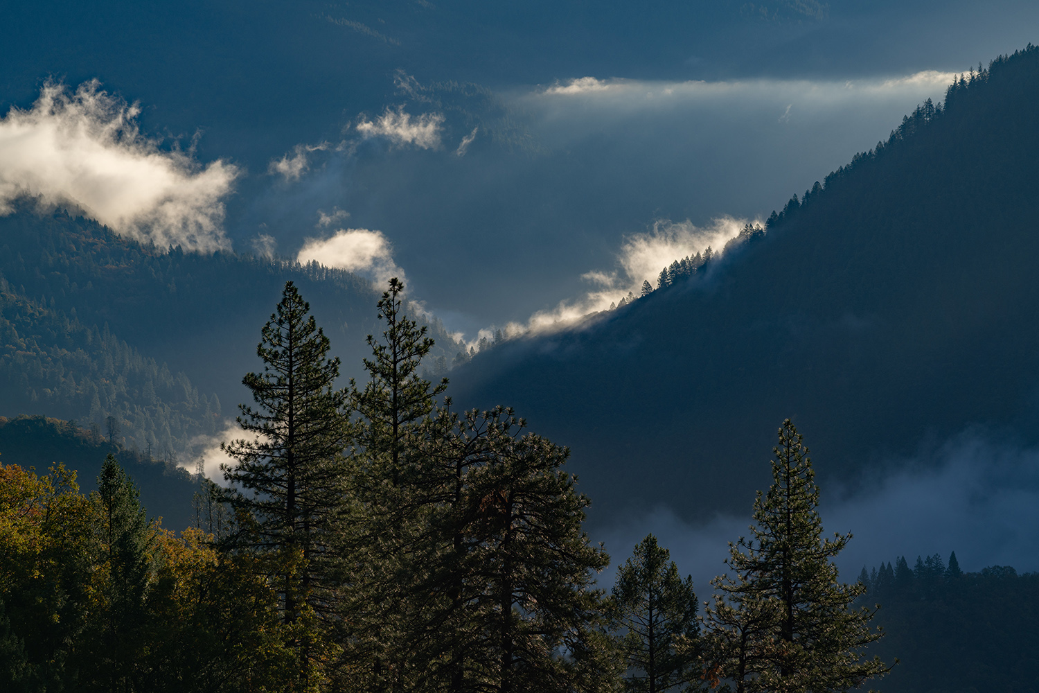 Placer Land Trust welcomes the Gerjuoy North Fork Preserve