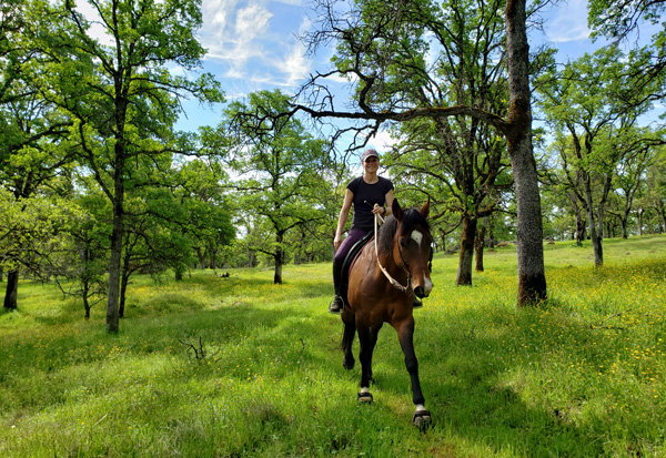 Taylor-Ranch-Lynnette-horse