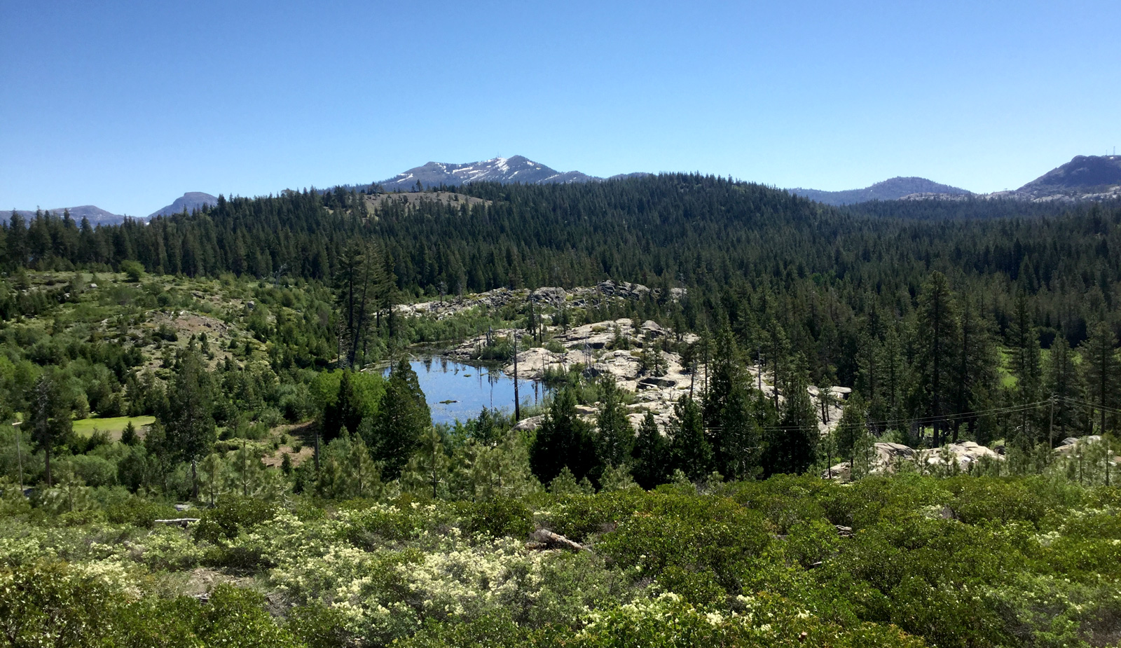 PG&E grants 1,100 acres to CAL FIRE for demonstration forest