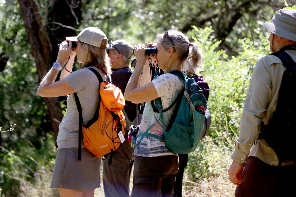 Hikers take in the view with binoculars