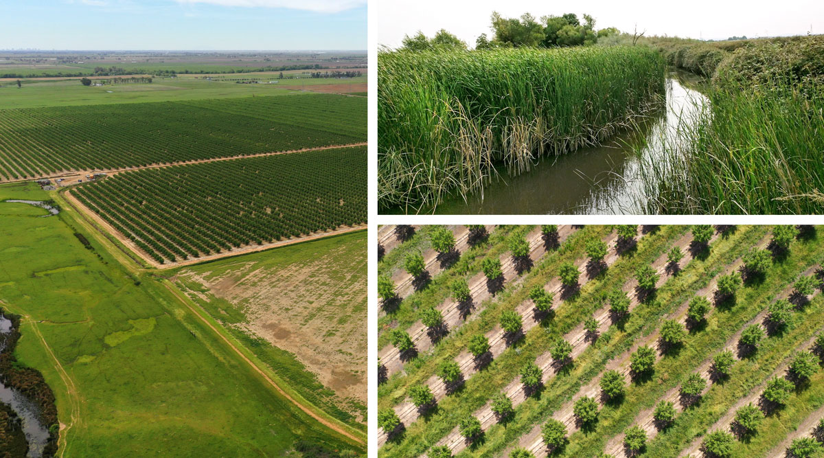 Placer Land Trust protects 595 acres of Lincoln farmland