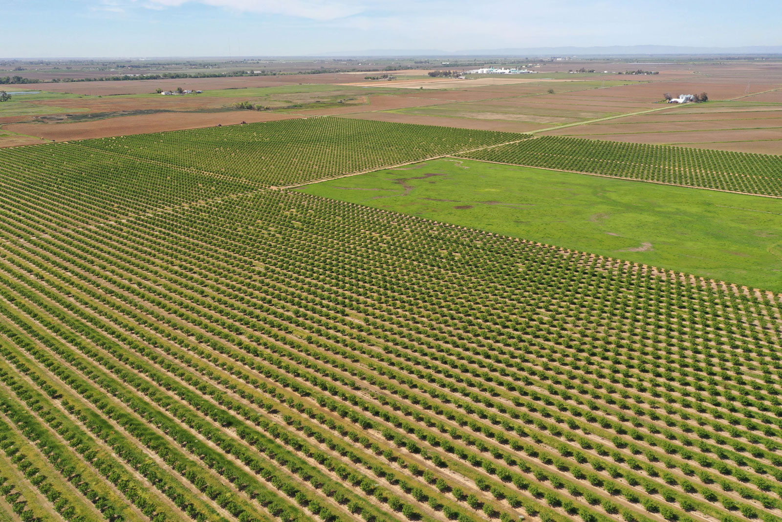 Placer County partners with Placer Land Trust to preserve 1,169 acres in rural Lincoln