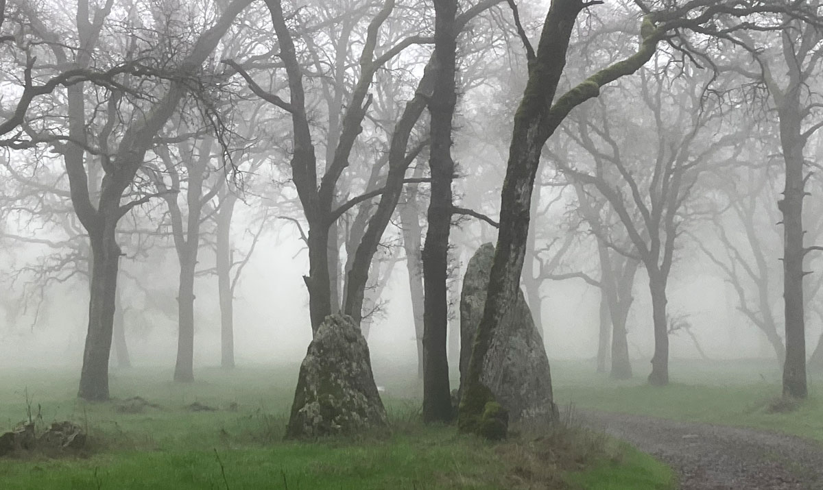 Mist-erious-rocks-Taylor-Ranch-crop