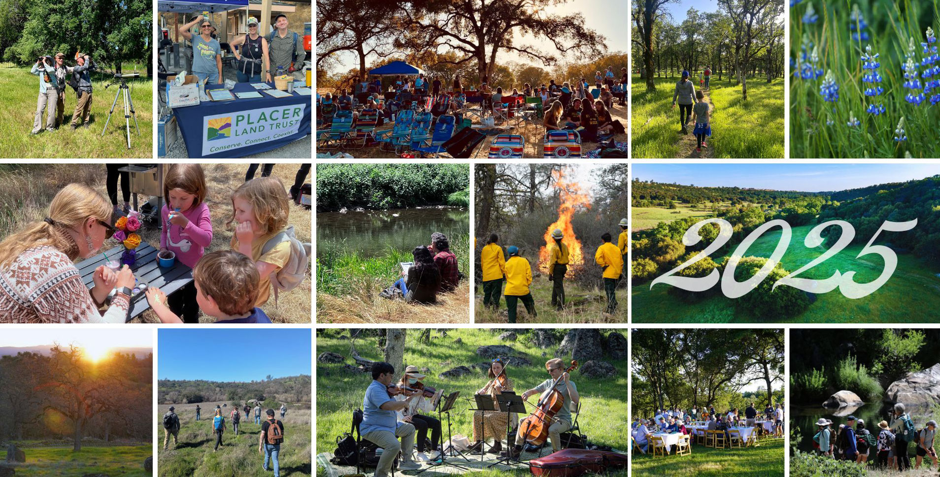 Photo-Collage-year2025