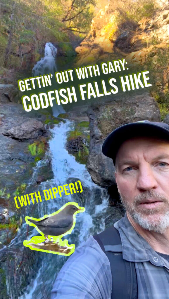 Gettin' Out: Codfish Falls Hike