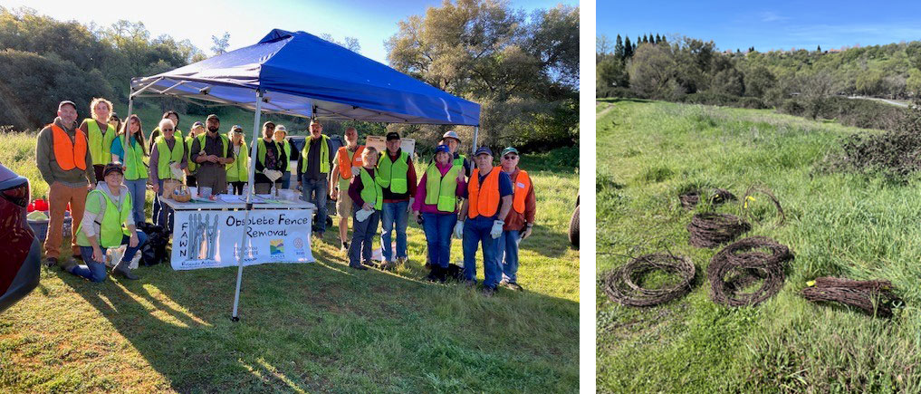Left: Volunteers take a break in the shade under a blue pop-up tent. Right: Rolls of old fencing that were removed by the volunteers.