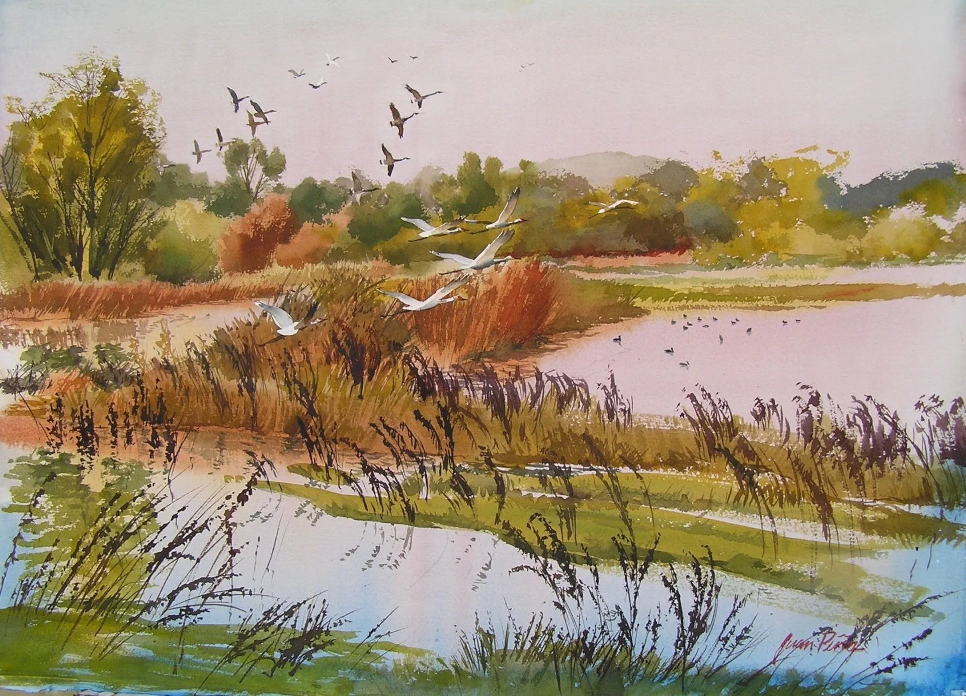 Juan Pena Morning-Flight-1920w