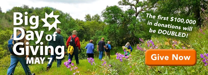 BDOG-banner-homepage-2026-may7